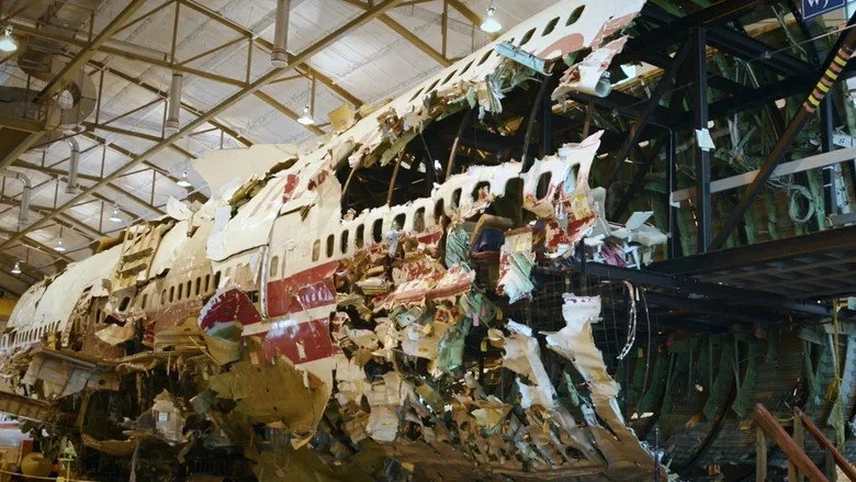 Rơi Tự Do: Ngày Phán Xét Của Boeing - Freefall: A Reckoning For Boeing